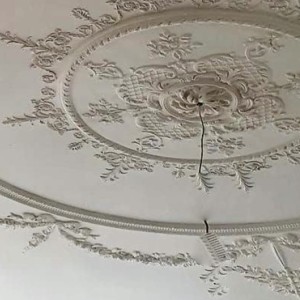 Decorative Ceiling Roses  (65)
