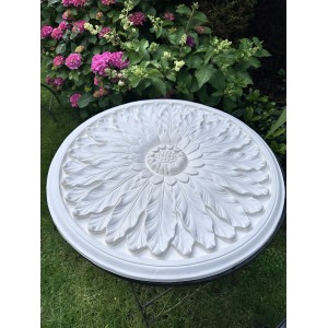 Warwick Rose 690mm dia