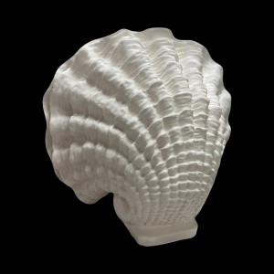 Shells (3)