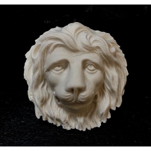 "Cecil" lion head detail